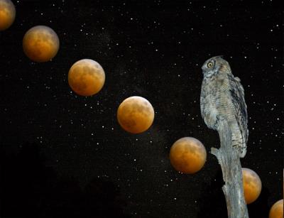 u12/tileman533/medium/38363607.Owlandmoonwithstars.jpg