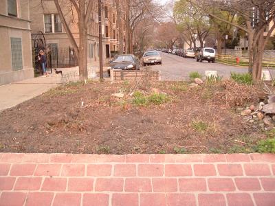 my end of the garden