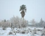 Snow_3.jpg