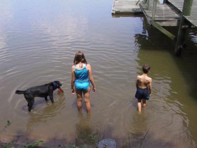 A first wade in....
