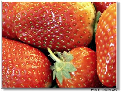 Strawberry 2.jpg