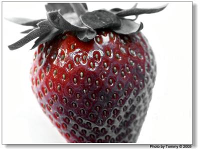 Strawberry 1.jpg