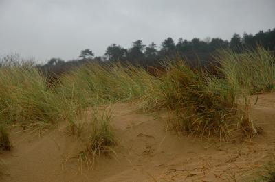 Omaha Beach - up from high tide refuge