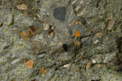 Exploded Omaha Bunker Concrete - up close