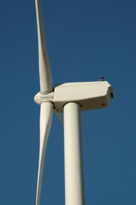 wind mill11.jpg