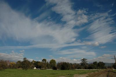 on the road 03.jpg