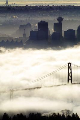 fog2