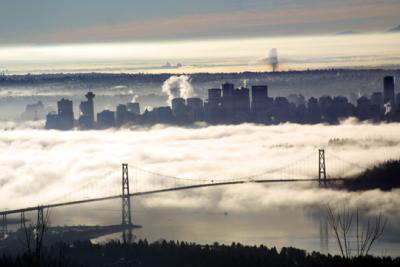 fog3