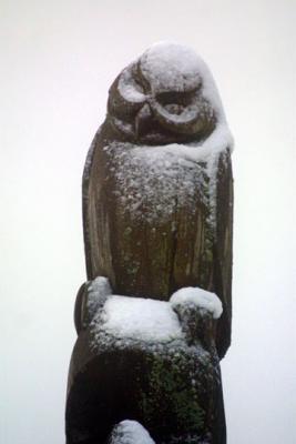 totem7