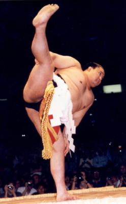 sumo2a