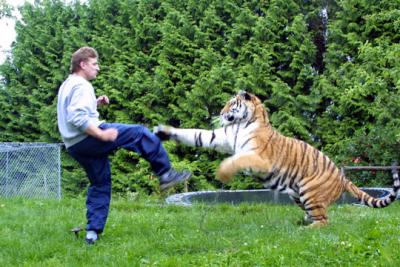 Tiger trainer