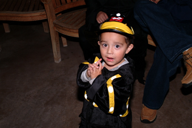 DSCF0016_1.JPG
