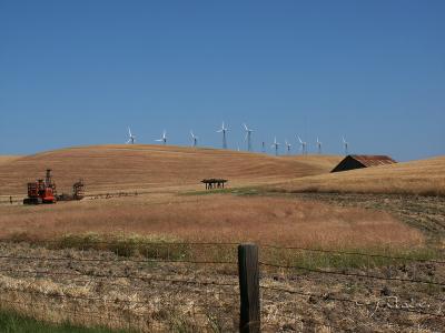 Windmills and Tractor