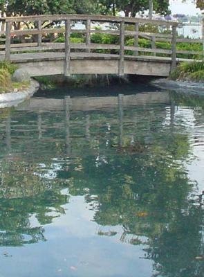 I would love to have this bridge and pond in my backyard