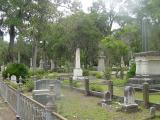 A view of the famous Bonaventure Cemetery