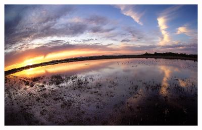 sunset43.jpg
