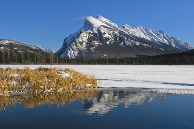 Bow Valley Winter IV