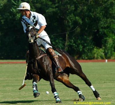 Polo Pictures Point Clear Alabama Oct. 2001