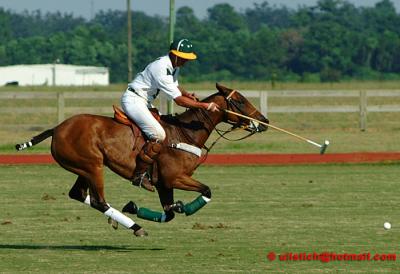 Polo Pictures