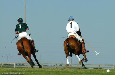 Polo Pictures