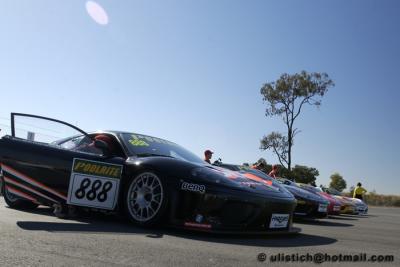 u12/uli1/medium/3084895.Qld_Procar_lineup.jpg