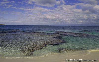 Rottnest Island near Perth