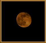 Orange moon