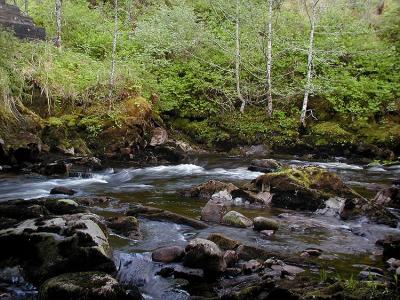 Cabin Creek