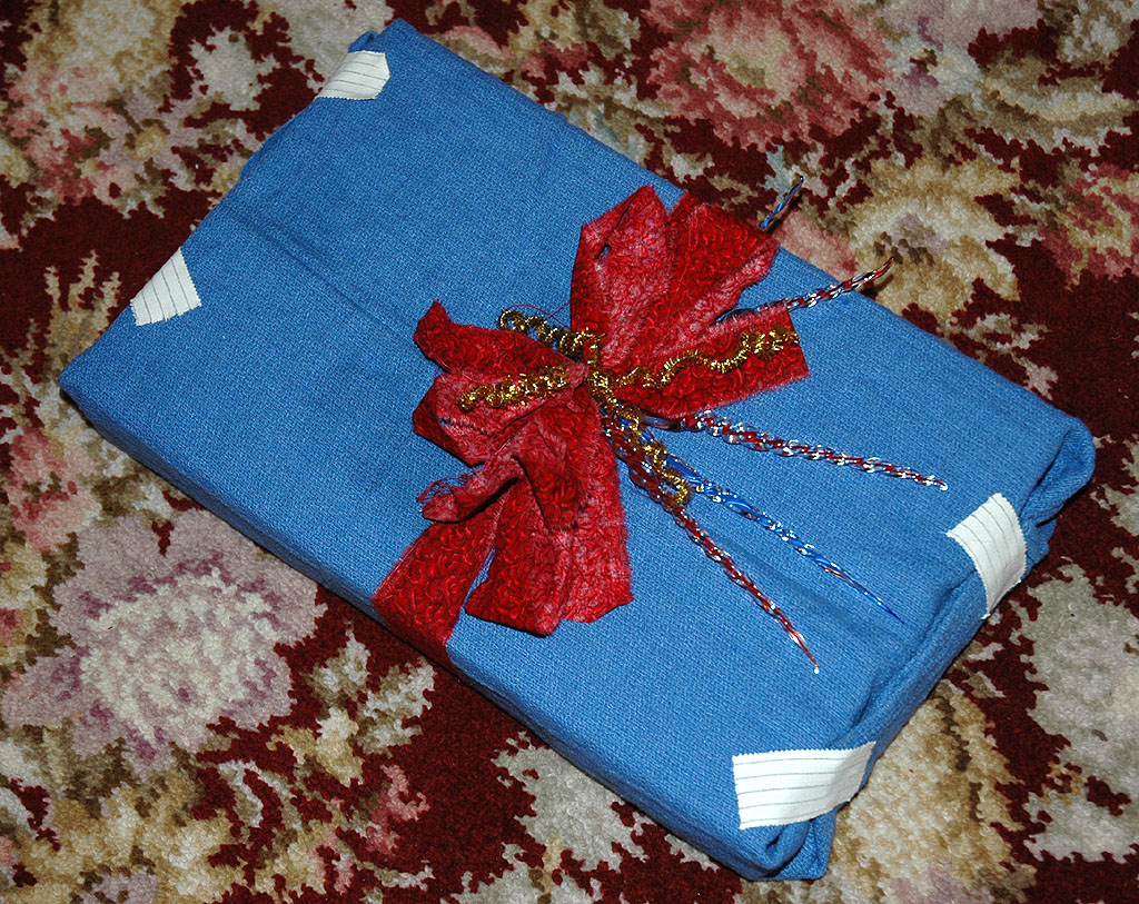 Gift Wrapped by Glass Artist Lonalee Hamlin Jr DSC_2314.jpg