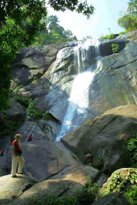 u12/vonstahlein/medium/3226058.42Waterfall.jpg