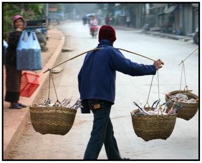 Chickens on the way to market