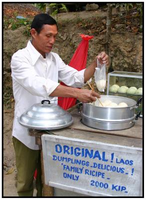 Famous home-made Dumplings - Yummy!