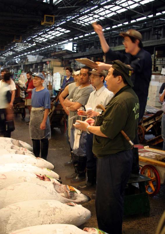 Daily Tuna Auction at the Tokyo Tsukiji Fish Market