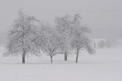 CRW_1391.jpg