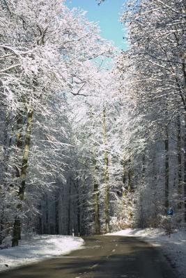 CRW_1493.jpg