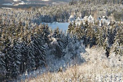 CRW_1601.jpg