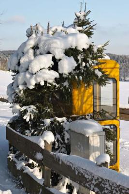 CRW_1652.jpg