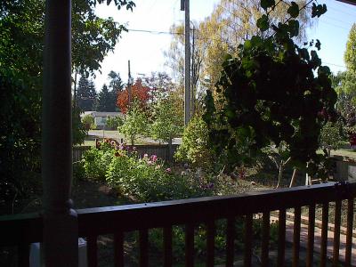 View from the porch