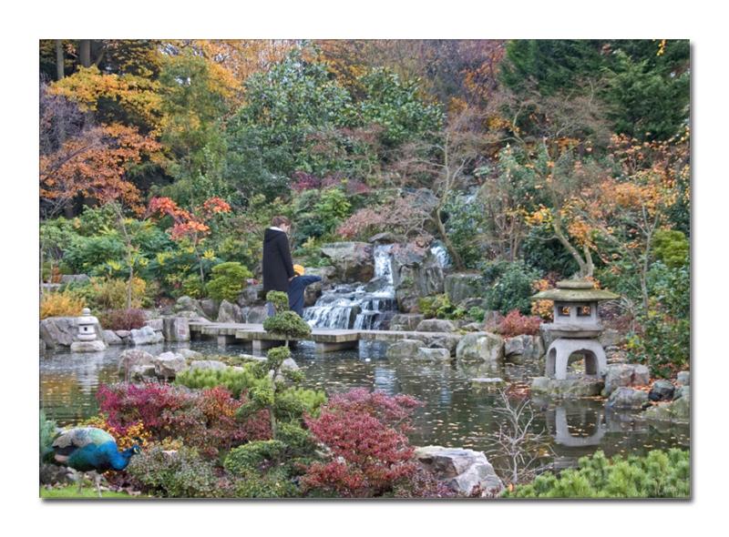 Kyoto Garden Holland Park.jpg