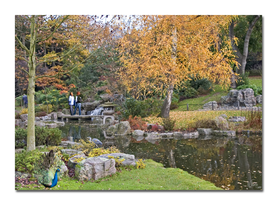 Kyoto Garden Holland Park01.jpg