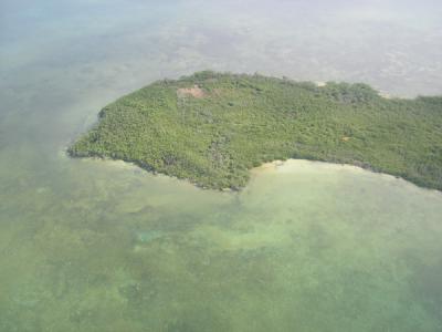 Mangrove island original.jpg