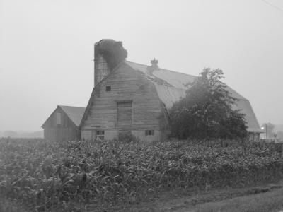 foggy-barn-2.jpg