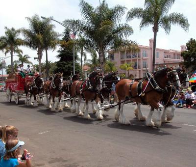 Clydesdales - Coronado 4th of July Parade