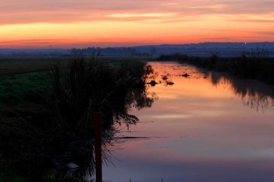 IMG_9766.JPG