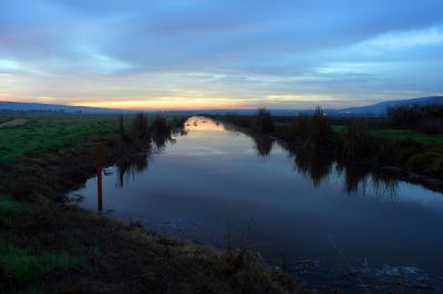 IMG_9769.JPG