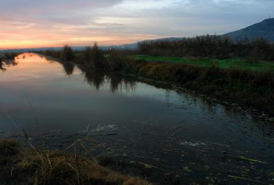 IMG_9771.JPG