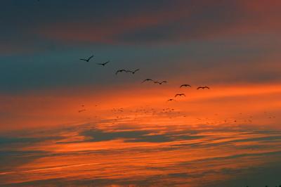 IMG_9776.JPG