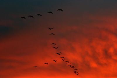 IMG_9783.JPG