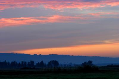 IMG_9788.JPG