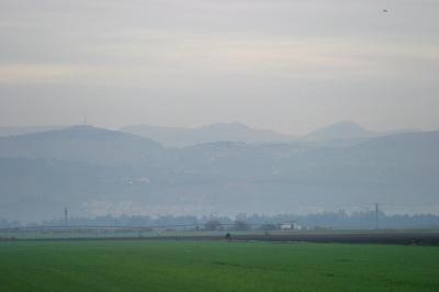IMG_9807.JPG